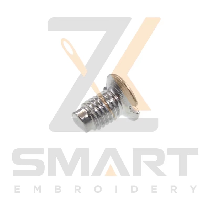 100 PCS Naaldplaat Schroef 511554010000 EG0228000000 SM201108CA00 Borduurmachine Onderdelen B02-R0502